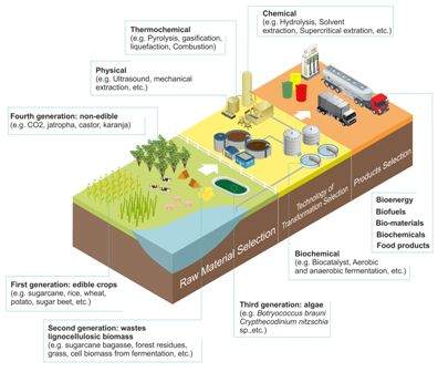 A comprehensive review on the implementation of the biorefinery concept in biodiesel production plants 