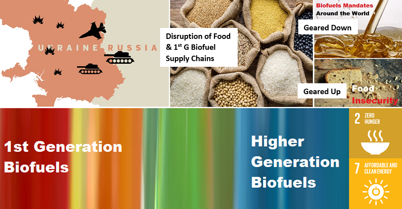 The imbalance of food and biofuel markets amid Ukraine-Russia crisis: A systems thinking perspective 