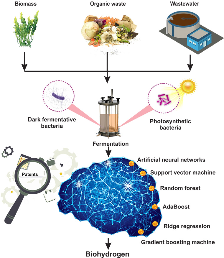 Machine learning in biohydrogen production: a review