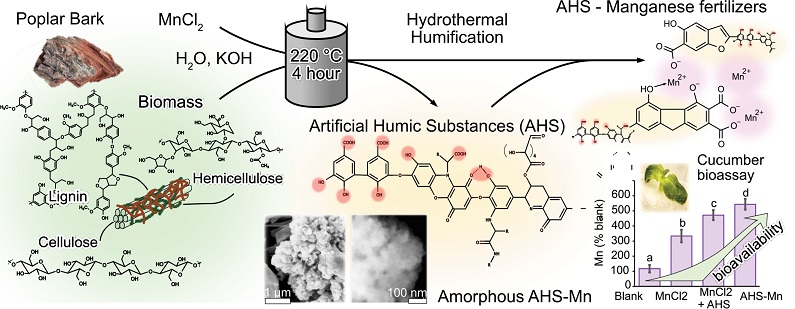 Artificial humic substances as sustainable carriers for manganese: Development of a novel bio-based microfertilizer 