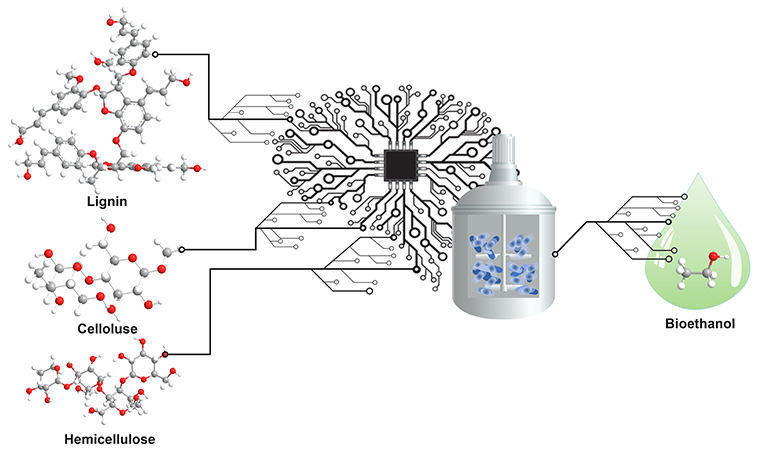 A critical review of machine learning for lignocellulosic ethanol production via fermentation route 