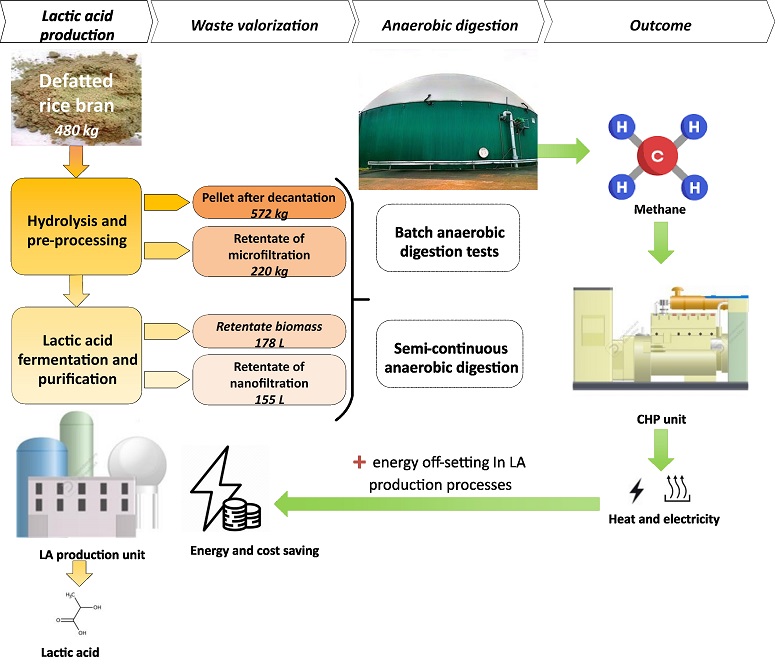 research on bio fuel Cascading valorization of defatted rice bran for lactic acid fermentation and biogas production