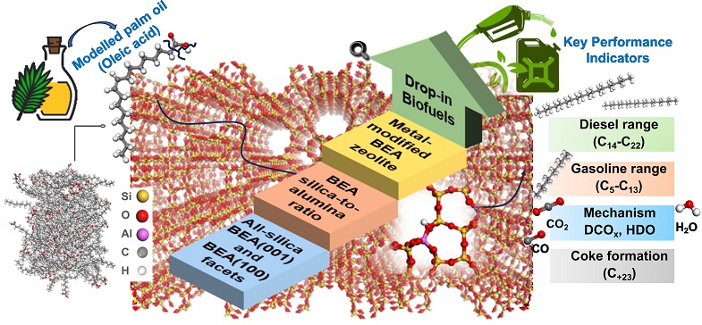 research on bio fuel Advanced computational modelling for biofuel catalyst optimization: enhancing beta zeolite acidity for oleic acid upgrading