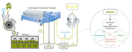 Exploitation alternatives of olive mill wastewater: production of value-added compounds useful for industry and agriculture 